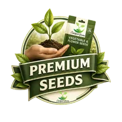 Seeds