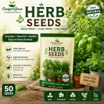 Herb seeds