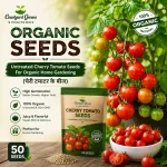 Untreated Cherry Tomato Seeds For Organic Home Gardening - 50 Seeds (चेरी टमाटर के बीज) High Germination, Juicy & Flavorful