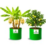 24X24 INCH HDPE GROW BAGS - Image 8