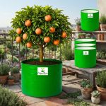 18X18 INCH HDPE GROW BAGS - Image 6