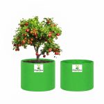 24X24 INCH HDPE GROW BAGS - Image 4