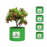 24X24 INCH HDPE GROW BAGS - Image 6