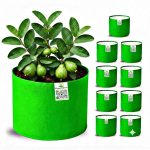 12X15 INCH HDPE GROW BAGS - Image 5