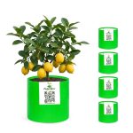 6X6 INCH HDPE GROW BAGS - Image 4