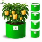 15X15 INCH HDPE GROW BAGS - Image 10