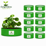 12X6 INCH HDPE GROW BAGS - Image 6