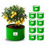 9X6 INCH HDPE GROW BAGS - Image 4