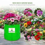 9X9 INCH HDPE GROW BAGS