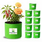 9X9 INCH HDPE GROW BAGS - Image 5