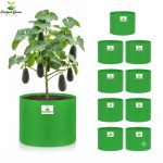 12X15 INCH HDPE GROW BAGS - Image 6