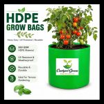 9X6 INCH HDPE GROW BAGS - Image 6