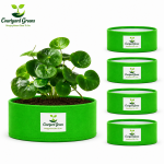 12X6 INCH HDPE GROW BAGS - Image 4
