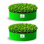 24X6 INCH HDPE GROW BAGS - Image 5