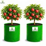 24X18 INCH HDPE GROW BAGS - Image 3