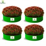 18X6 INCH HDPE GROW BAGS - Image 5